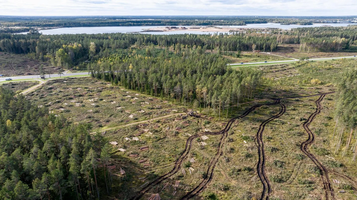 Rail Balticu trassi rajamine Harjumaal Viljandi maantee ääres
