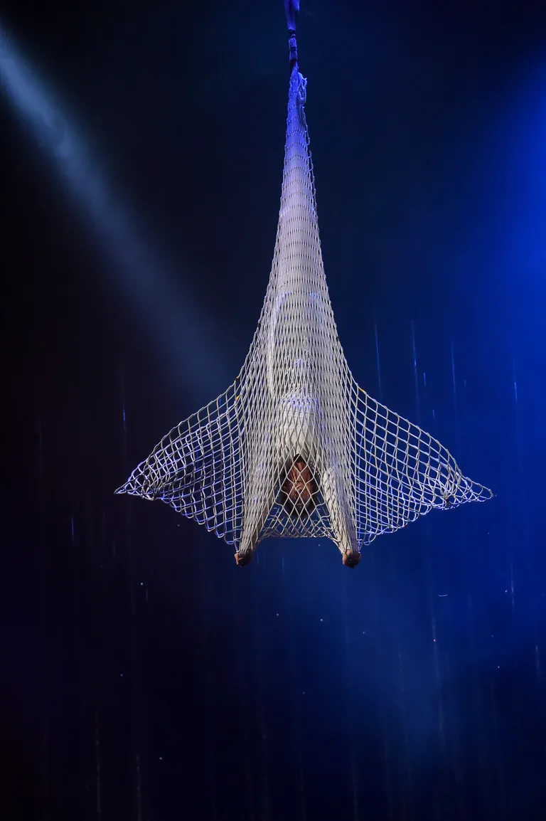 Шоу Varekai: полет Икара, пойманного в сети.