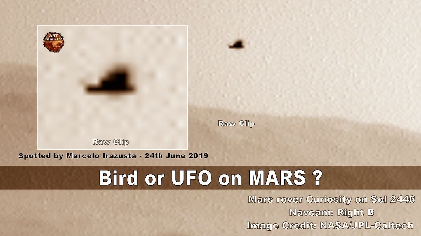 Vandenõuteoreetikute arvates on NASA Curiosity kulguri tehtud fotol lind