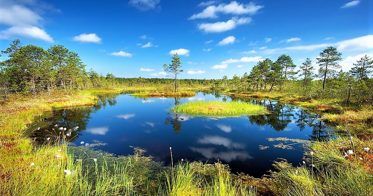 Riigikohus vaeb Lahemaa rahvuspargis asuva kinnistu hoonestamist (2)