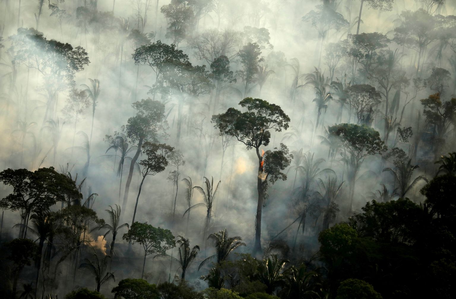 Tulekahjud Amazonase vihmametsas.