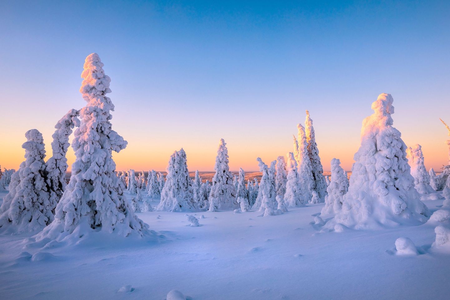 Soome Lapimaa talvel