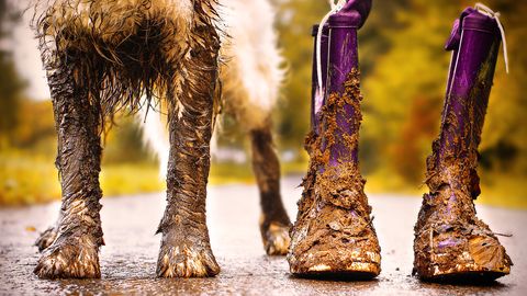 Juhised, kuidas jalatseid pori ja vihmaga hooldada