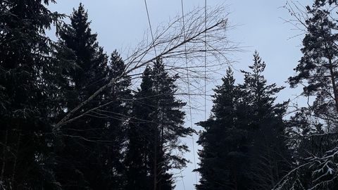 Tugev tuul ja märg lumi põhjustasid elektrikatkestusi Tapa vallas