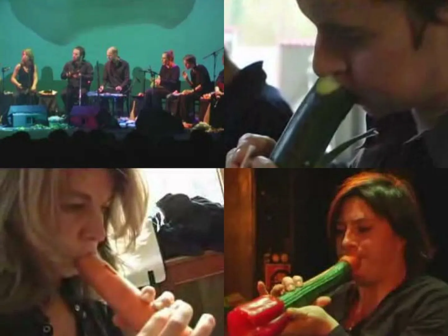 Vienna Vegetable Orchestra ehk aedviljaorkester.