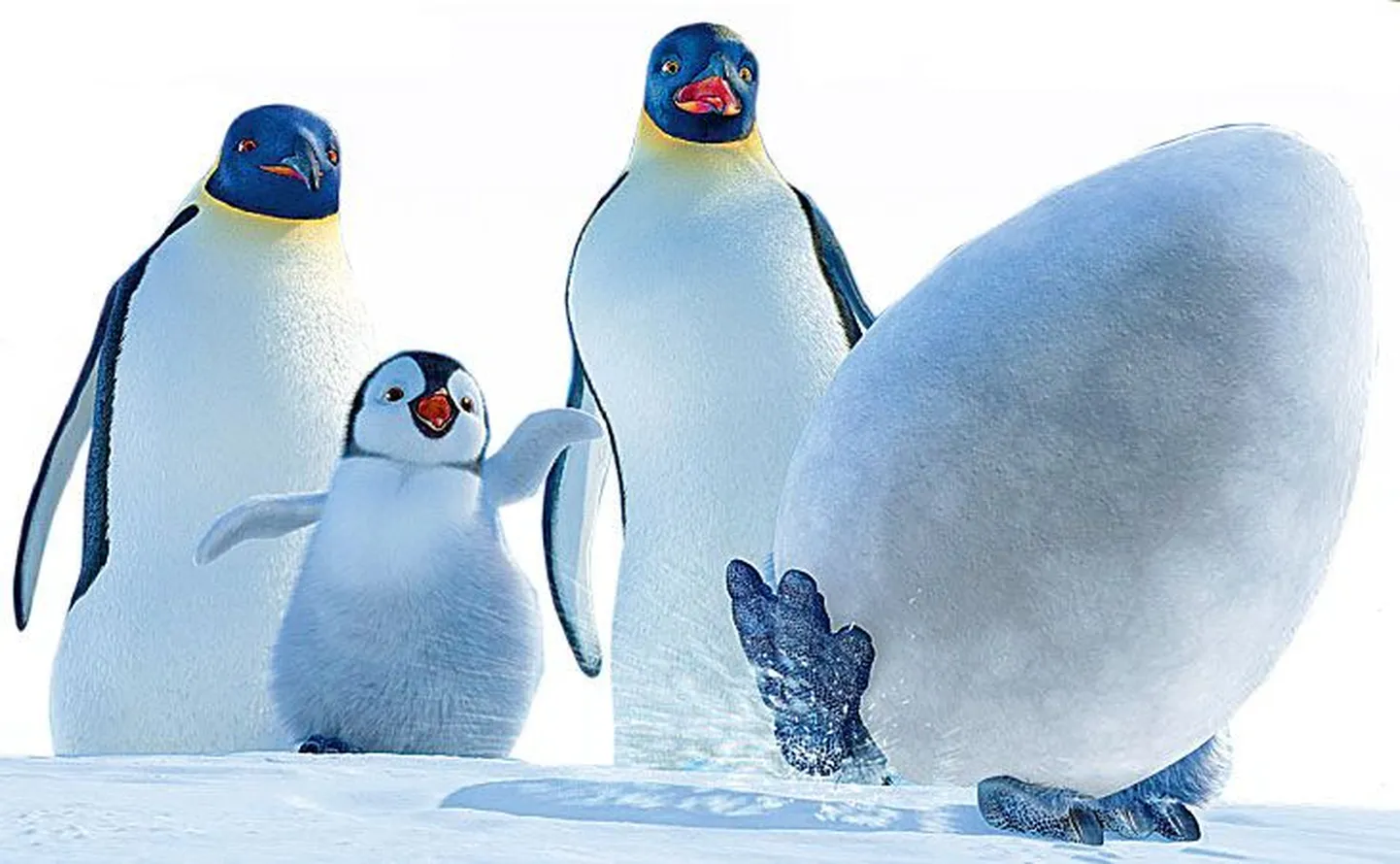 Фото иллюстративное
