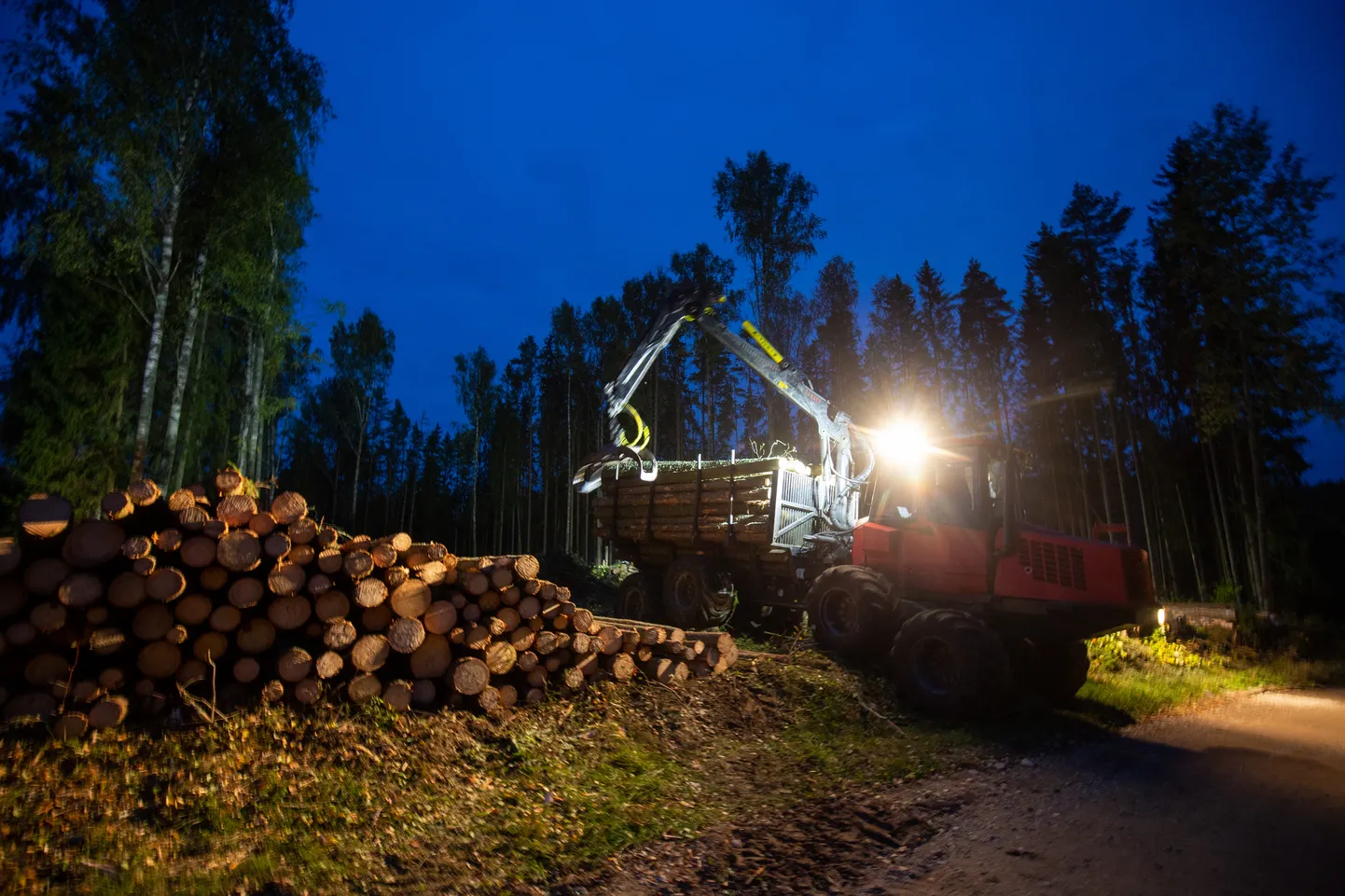 Metsatööd. Raielank. Harvester metsatöödel. Öised metsatööd.