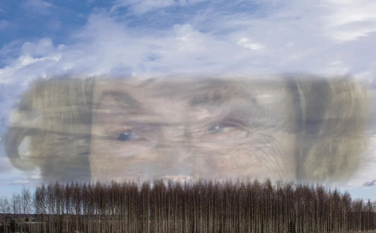 Mõned kirjanikud kirjutavad oma parimad teosed noorpõlves. Herta Laipaik puhkes õitsele pigem küpses eas.