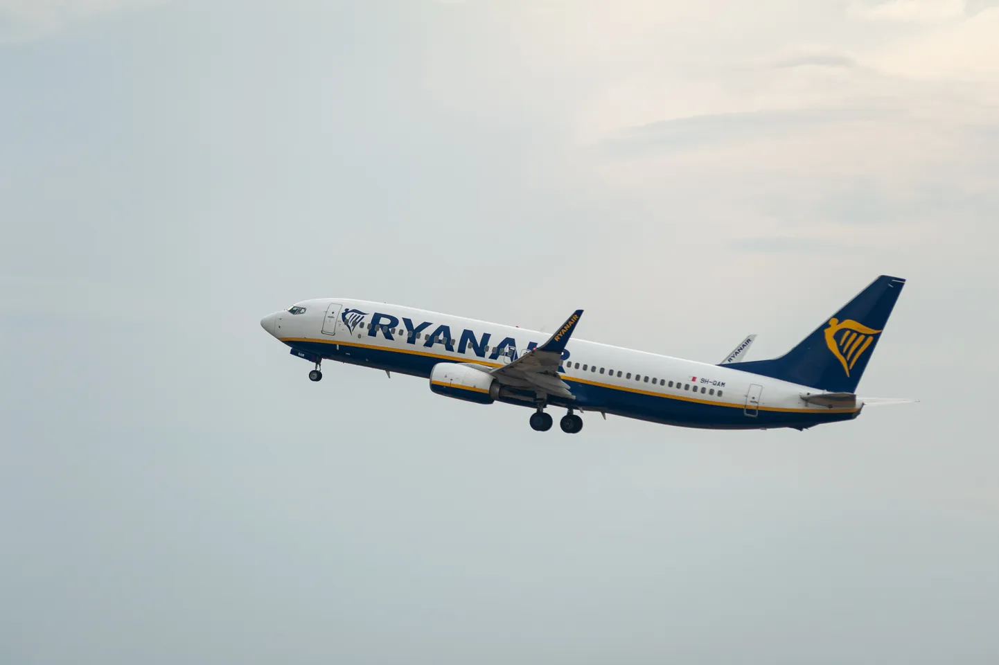 Самолет Ryanair.