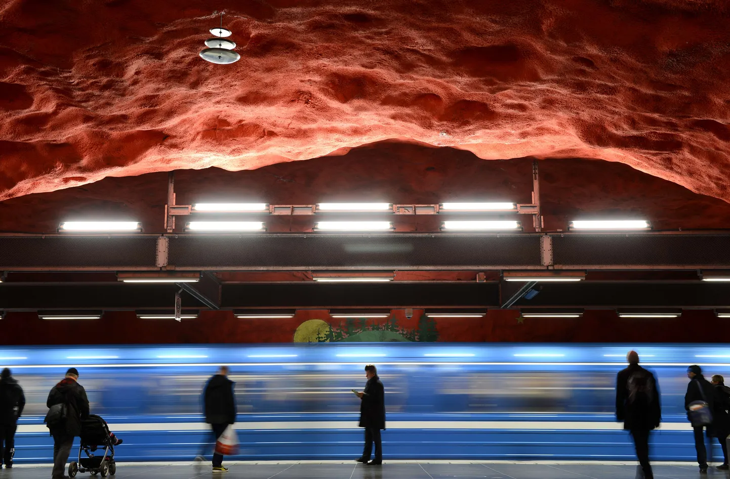 Фото статьи