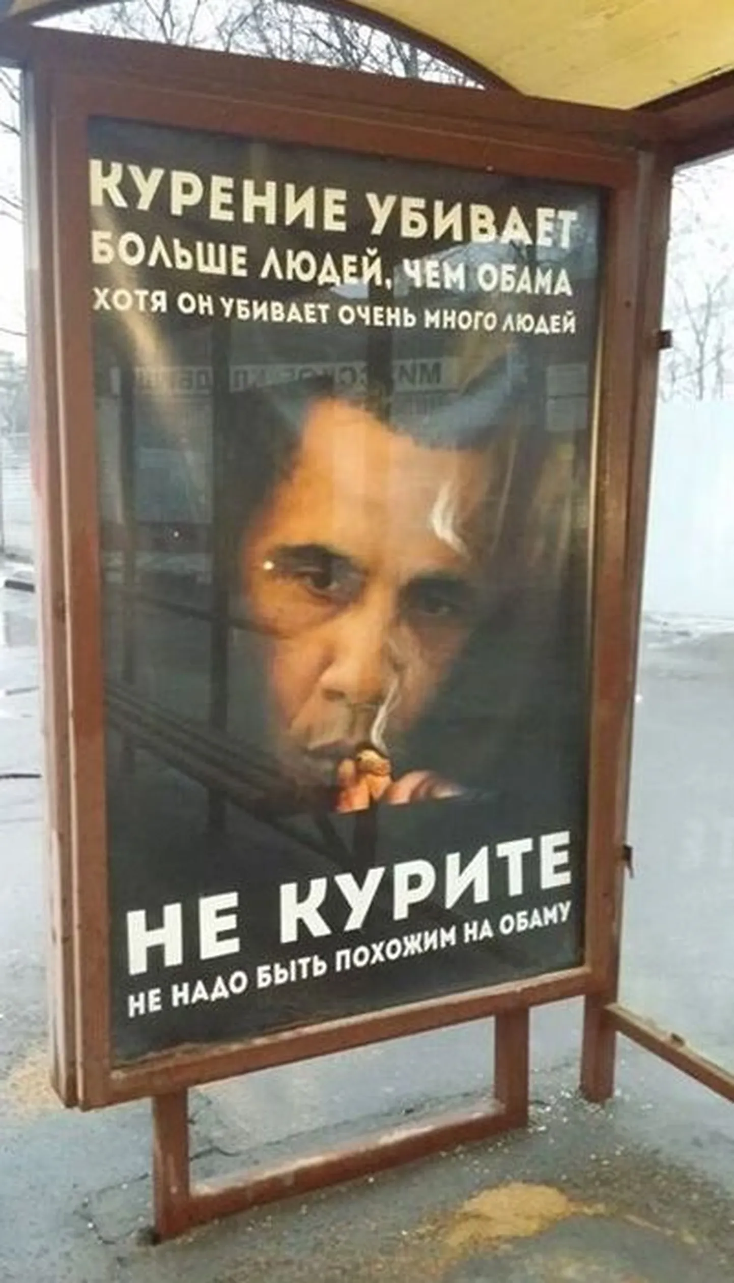 Artikli foto