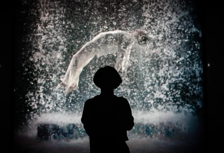 Bill Viola «The Journey of the Soulat» 2009. aastal Moskvas.