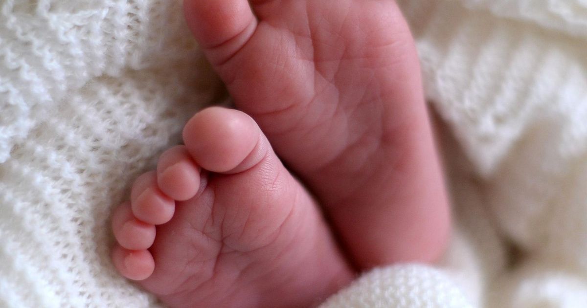 Lääne-Virumaal sündis mais enam kui poolsada beebit