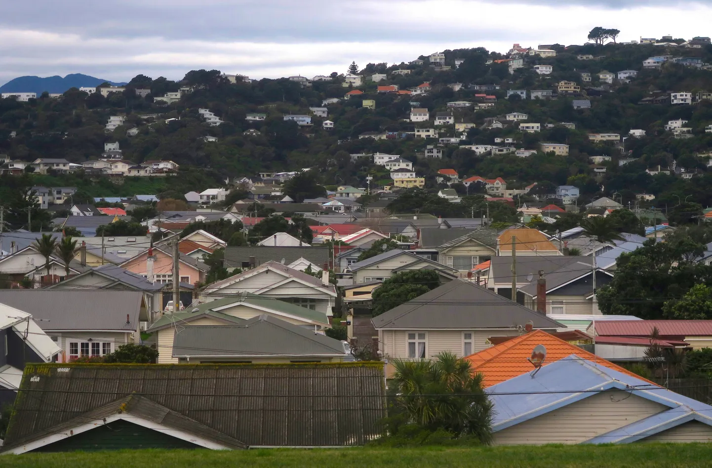 Wellington Uus-Meremaal