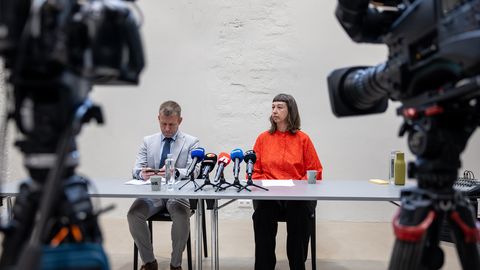 KELMUS VÕI JUHTIMISVIGA ⟩ Kuidas oli võimalik Eesti Kunstnike Liidult välja petta ligi 700 000 eurot?
