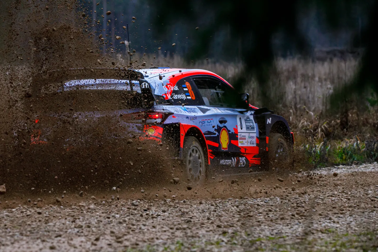 Ott Tänak ja Martin Järveoja pole kaugeltki ainsad, kes Monzas Hyundaiga starti tulevad.