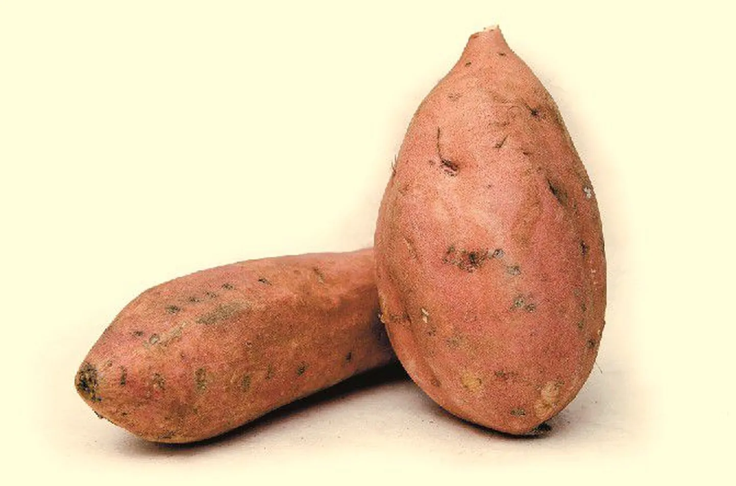 Artikli foto