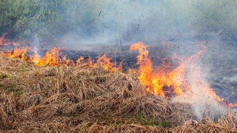 Ceturtdien dzēsti 23 ugunsgrēki, tostarp seši kūlas ugunsgrēki