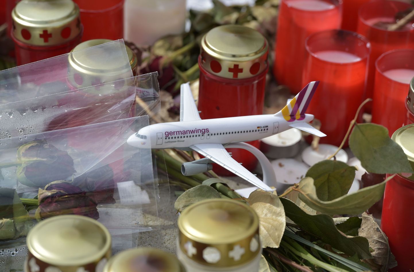 Germanwingsi lennul hukkunute mälestamine Kölnis