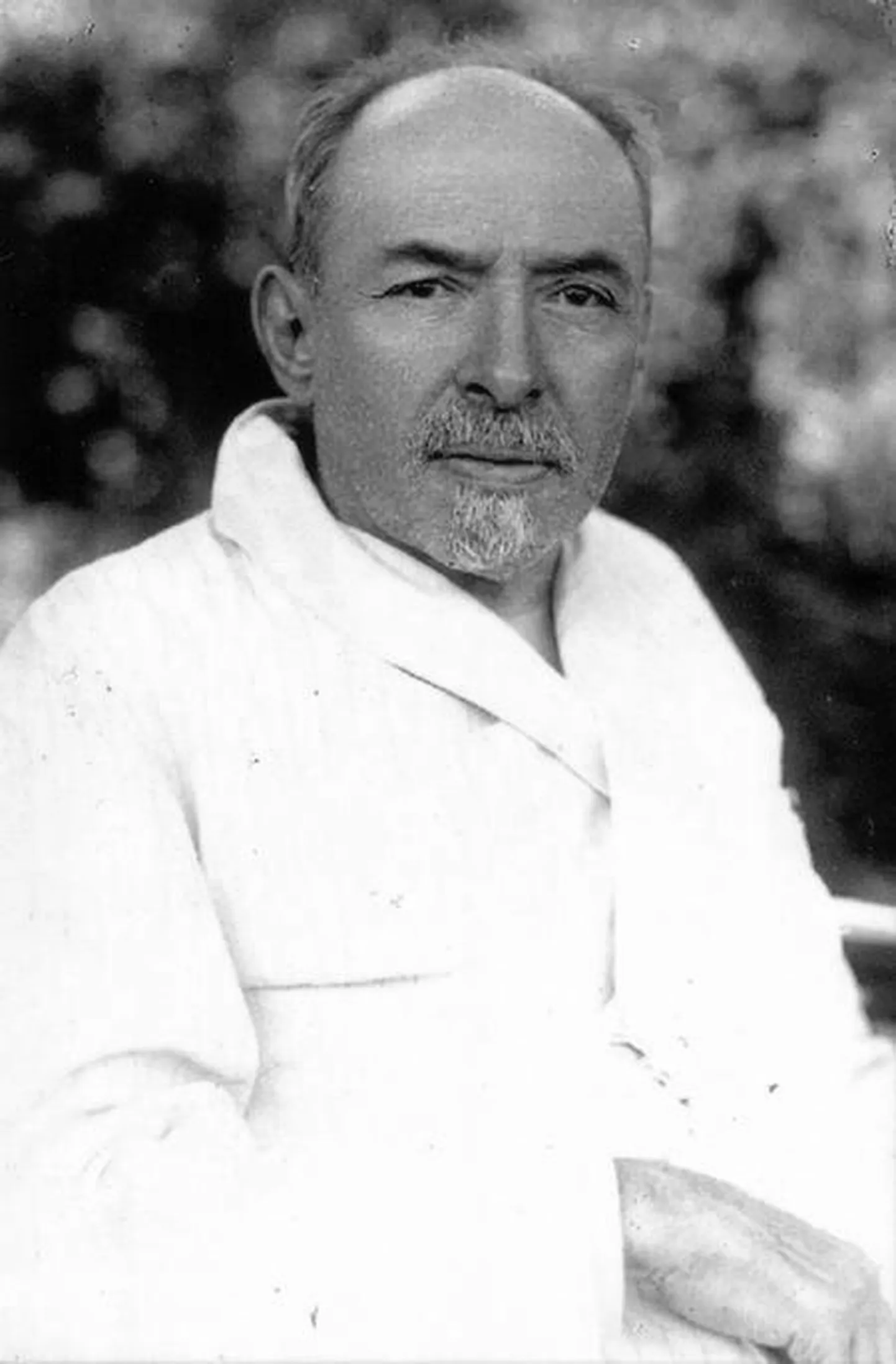 Dmitri Uljanov (pildil)