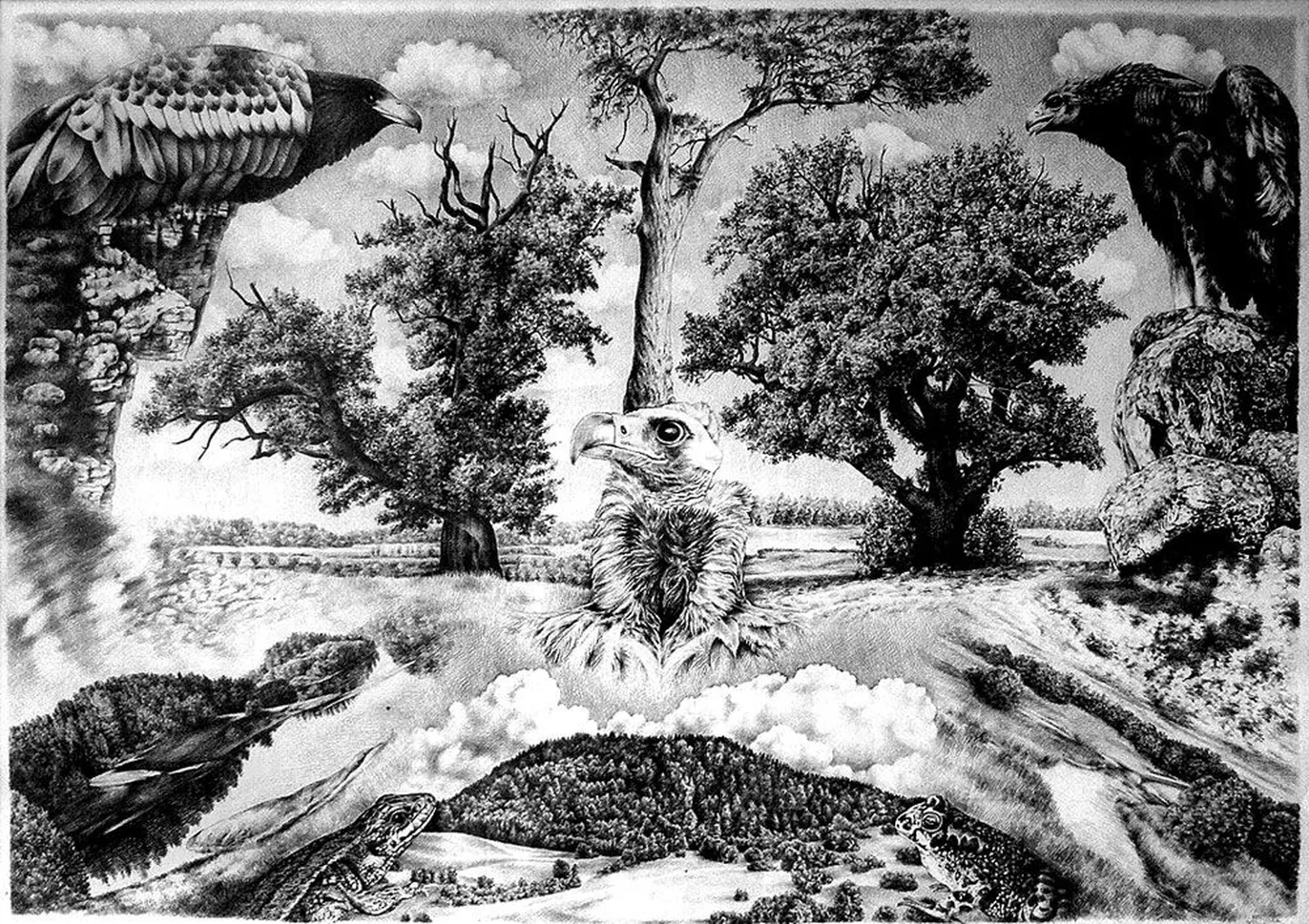 USAs korraldatud kunstikonkursil saavutas Merike Sule-Trubert auhinna joonistuse «Loodus 3» eest. See on valminud aastal 1995 ja kuulub viiejoonistuselisse sarja.