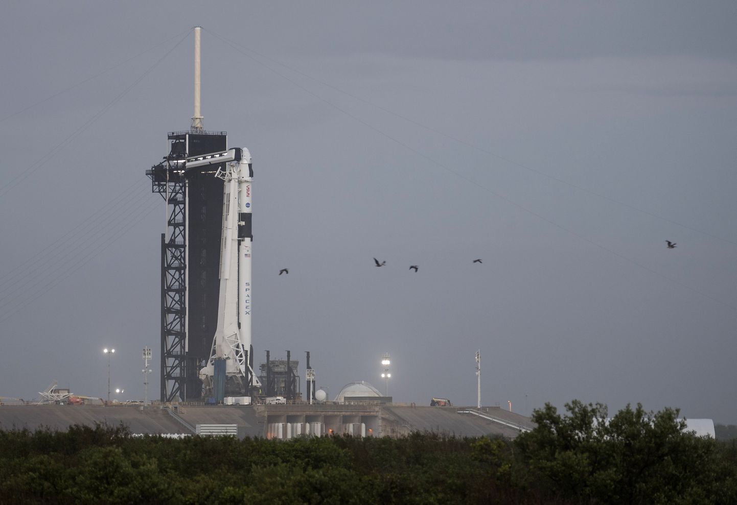 SpaceX-i kanderakett Falcon 9 koos kosmosekapsliga Crew Dragon Kennedy kosmosekeskuse stardiplatvormil.