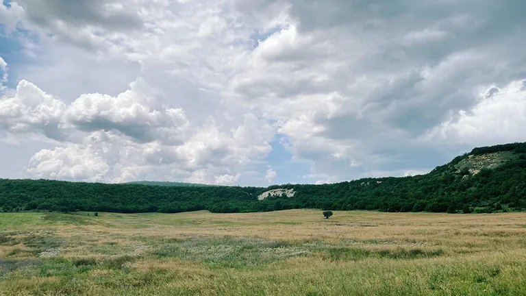 Крым