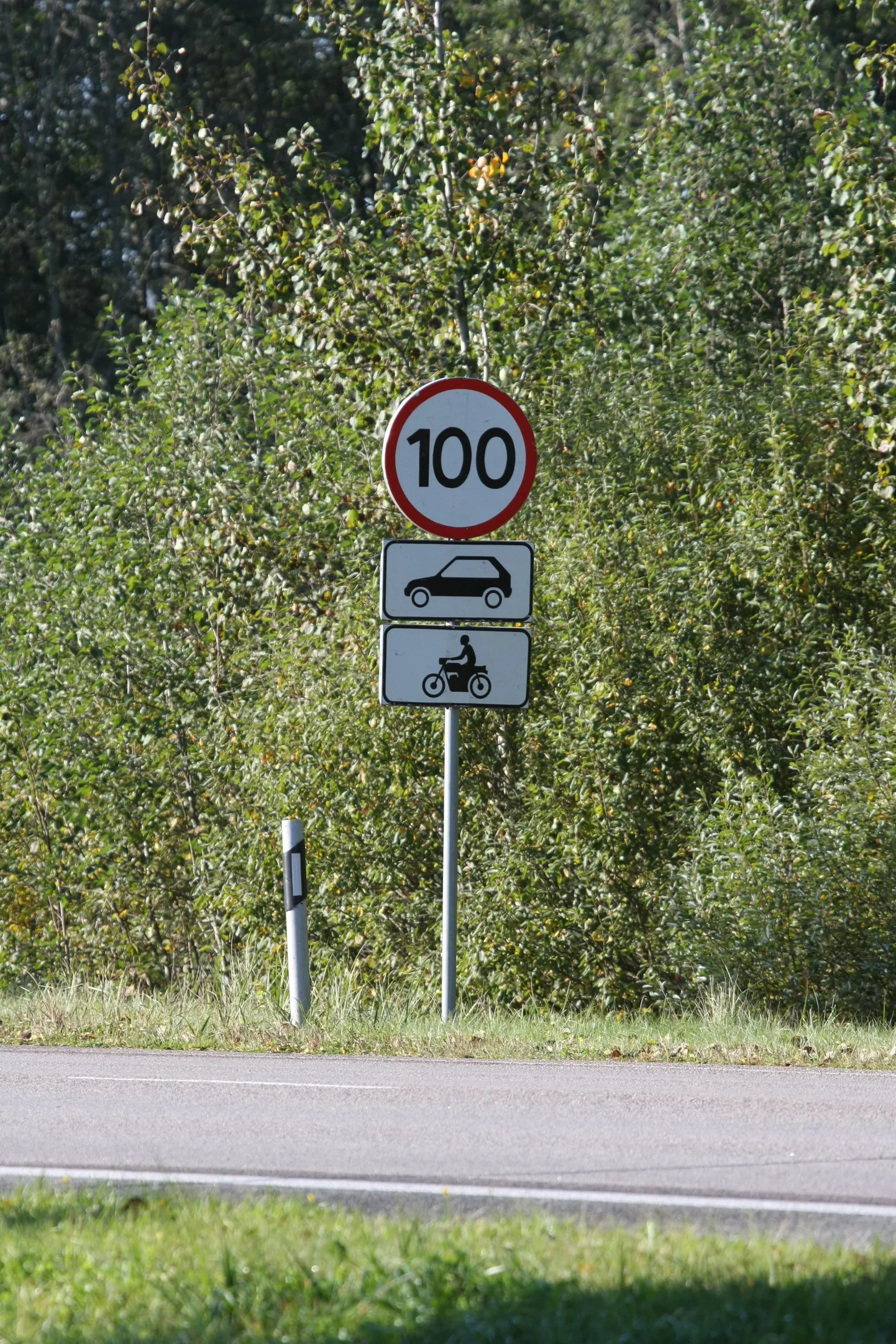 Foto on illustreeriv