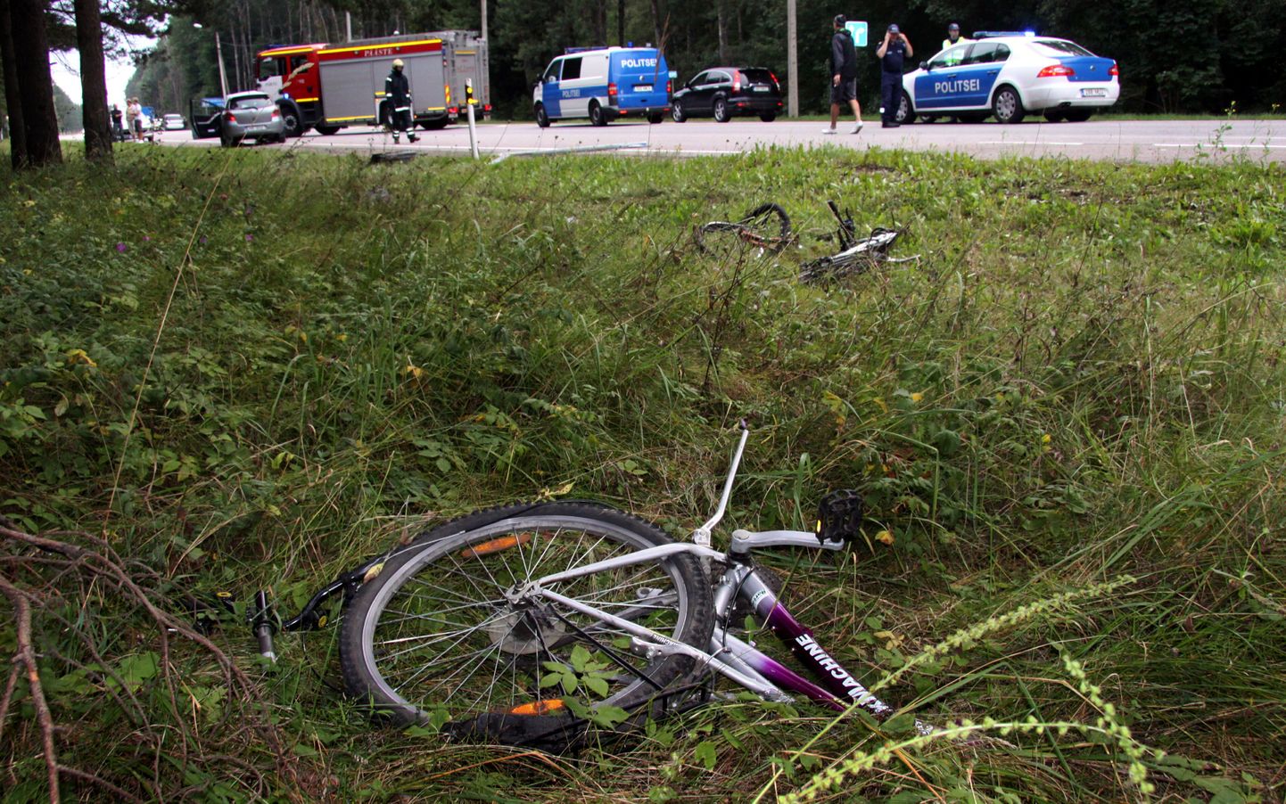Инцидент с велосипедистом. Иллюстративный снимок, не имеющий отношения к произошедшему.