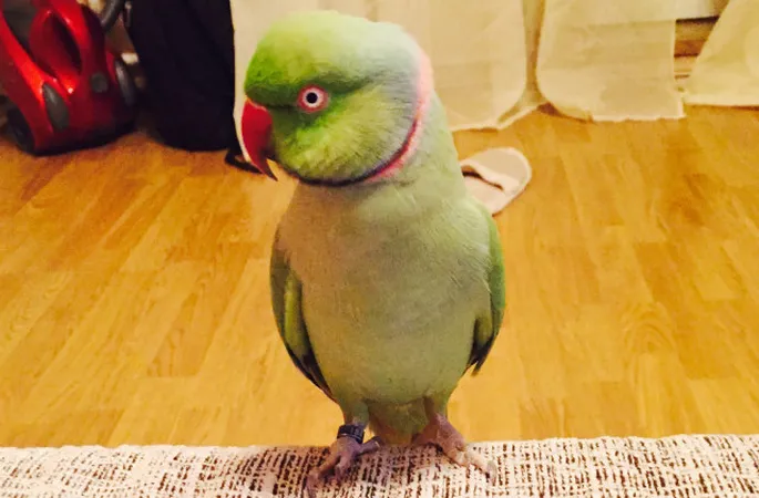 Полярлық би порно онлайн