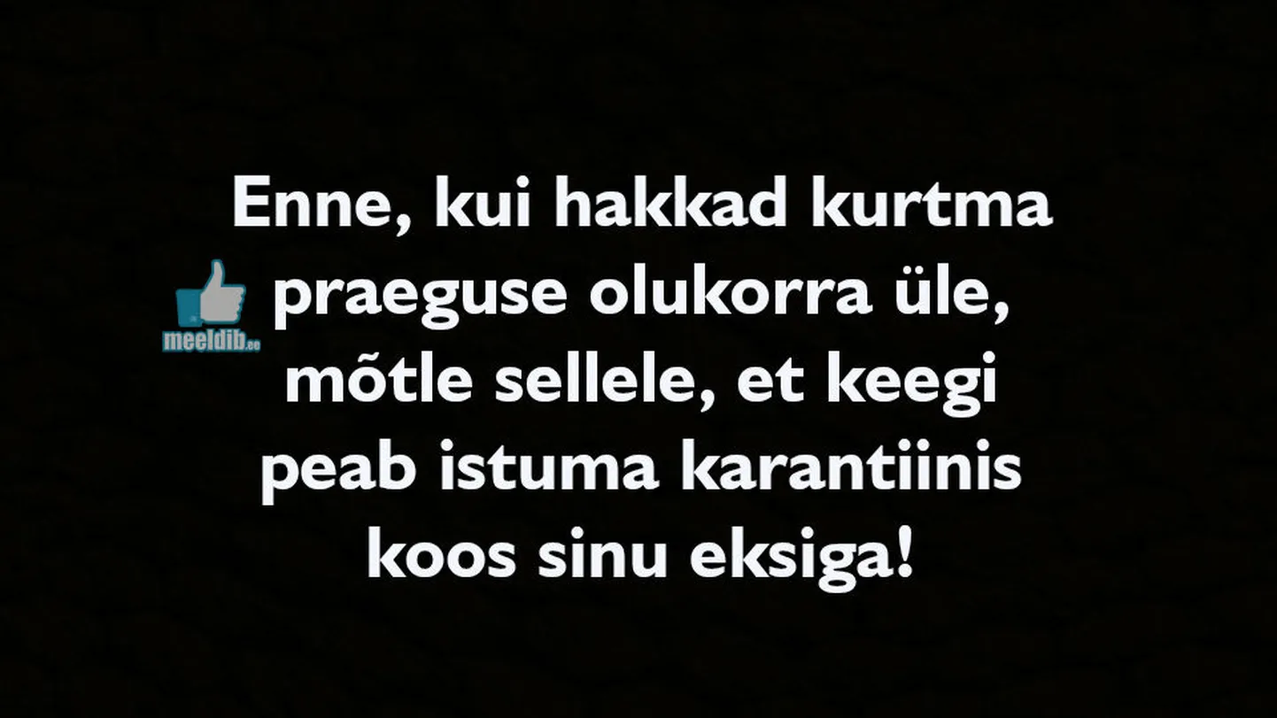 Artikli foto