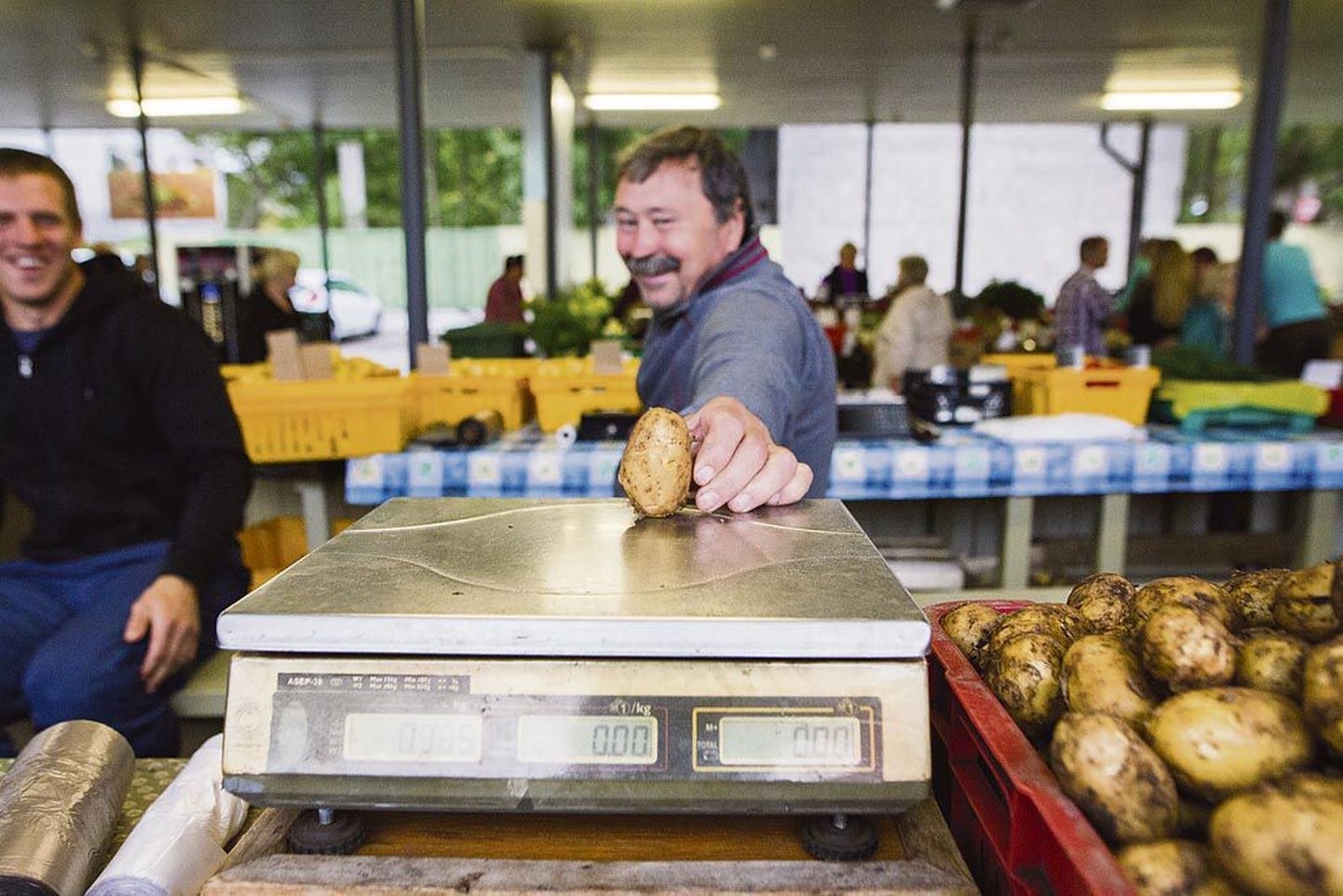 ““Gala” ongi see maailma parim kartul,” naljatas Audru kartulikasvataja.