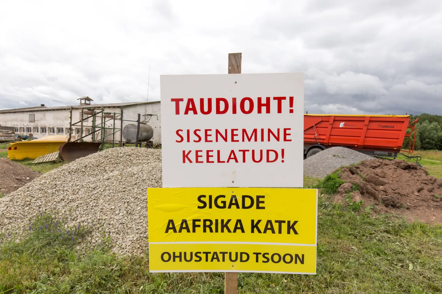 Sel aastal on sigade Aafrika katku diagnoositud 900 kütitult või lõpnuna leitud metsseal.