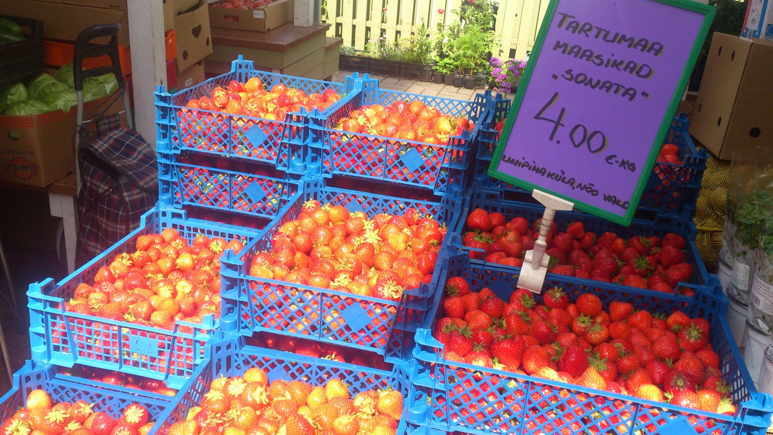 Maasikad Nõmme turul.