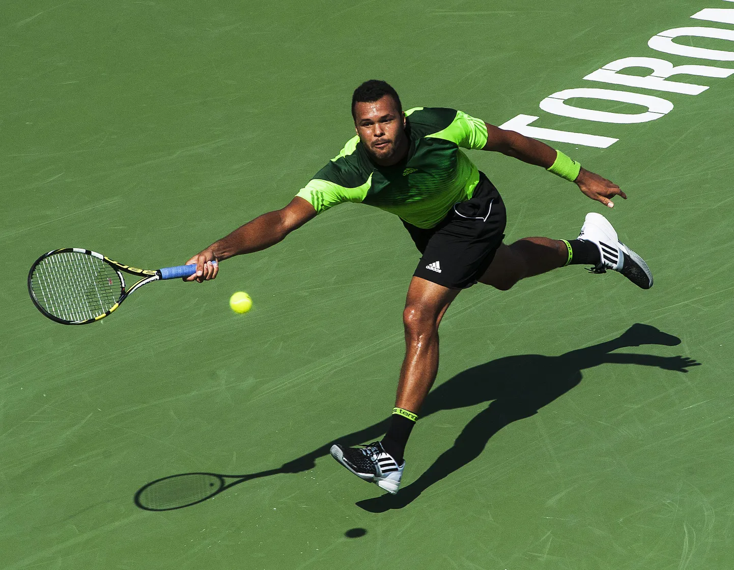 Jo-Wilfried Tsonga.