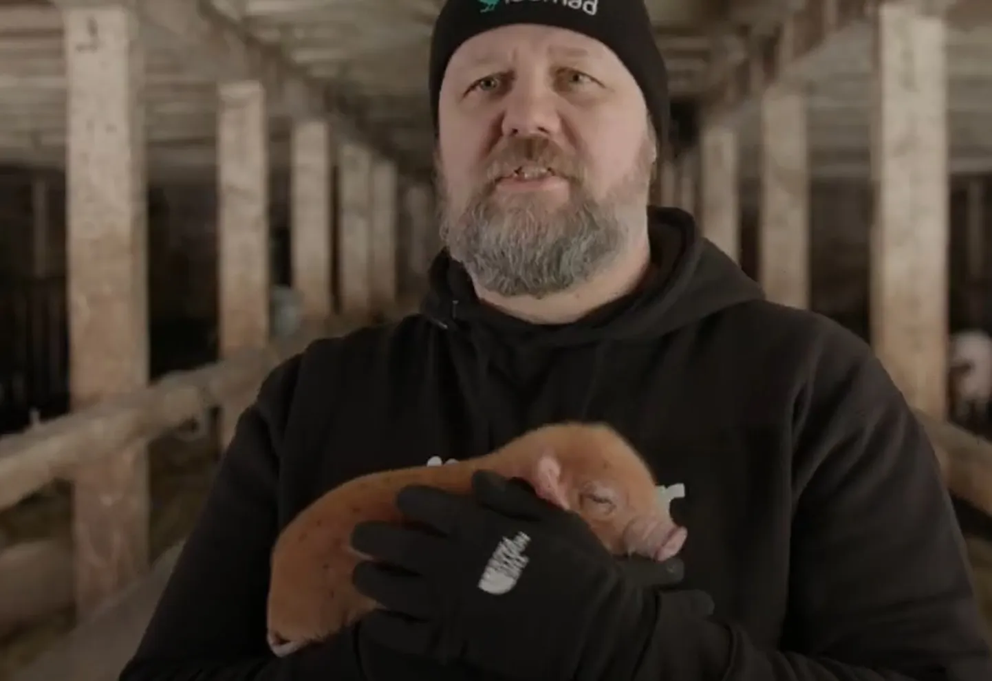 Kuvatõmmis videost