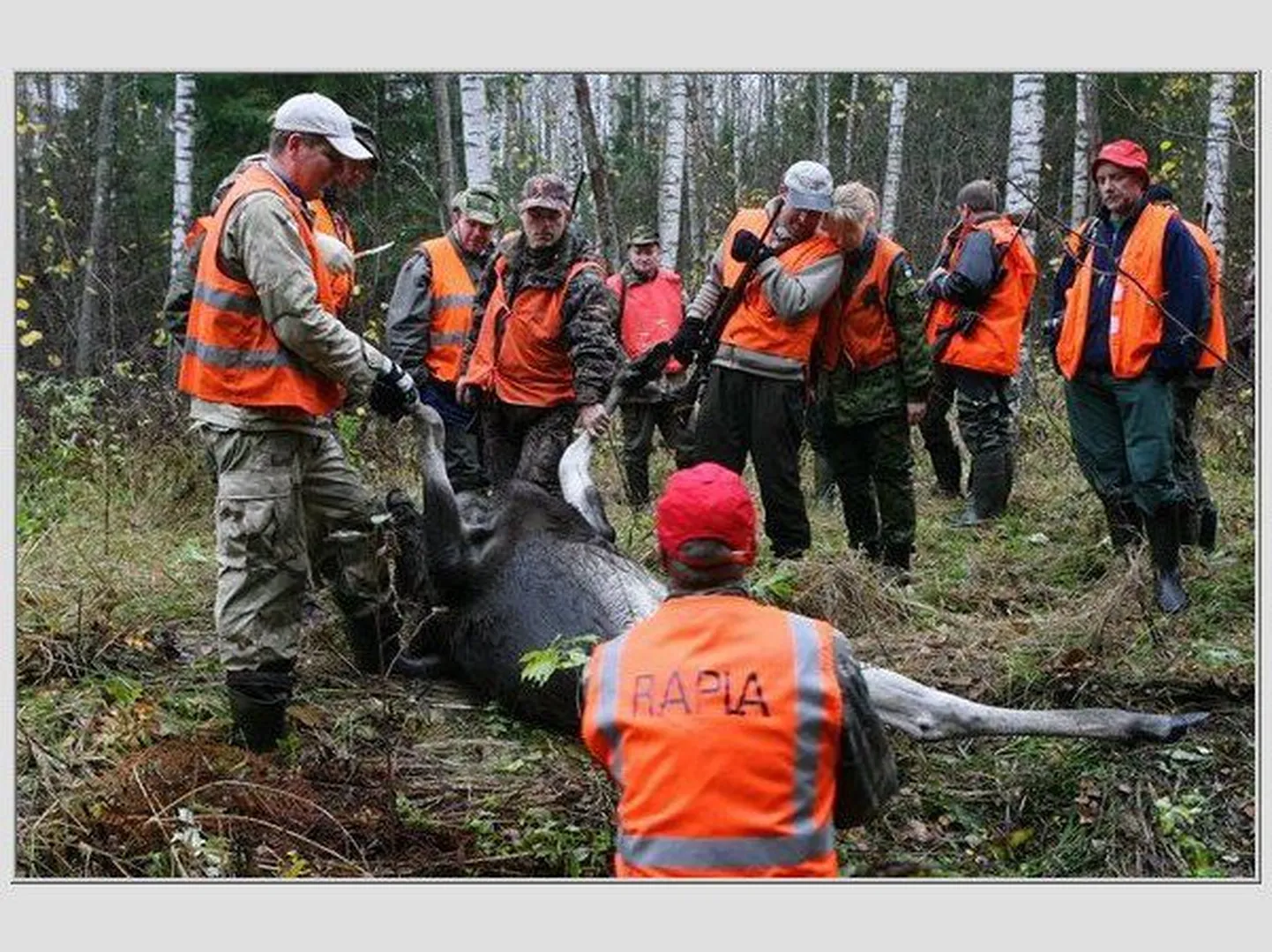 Põdrajahihooaeg oli edukas.