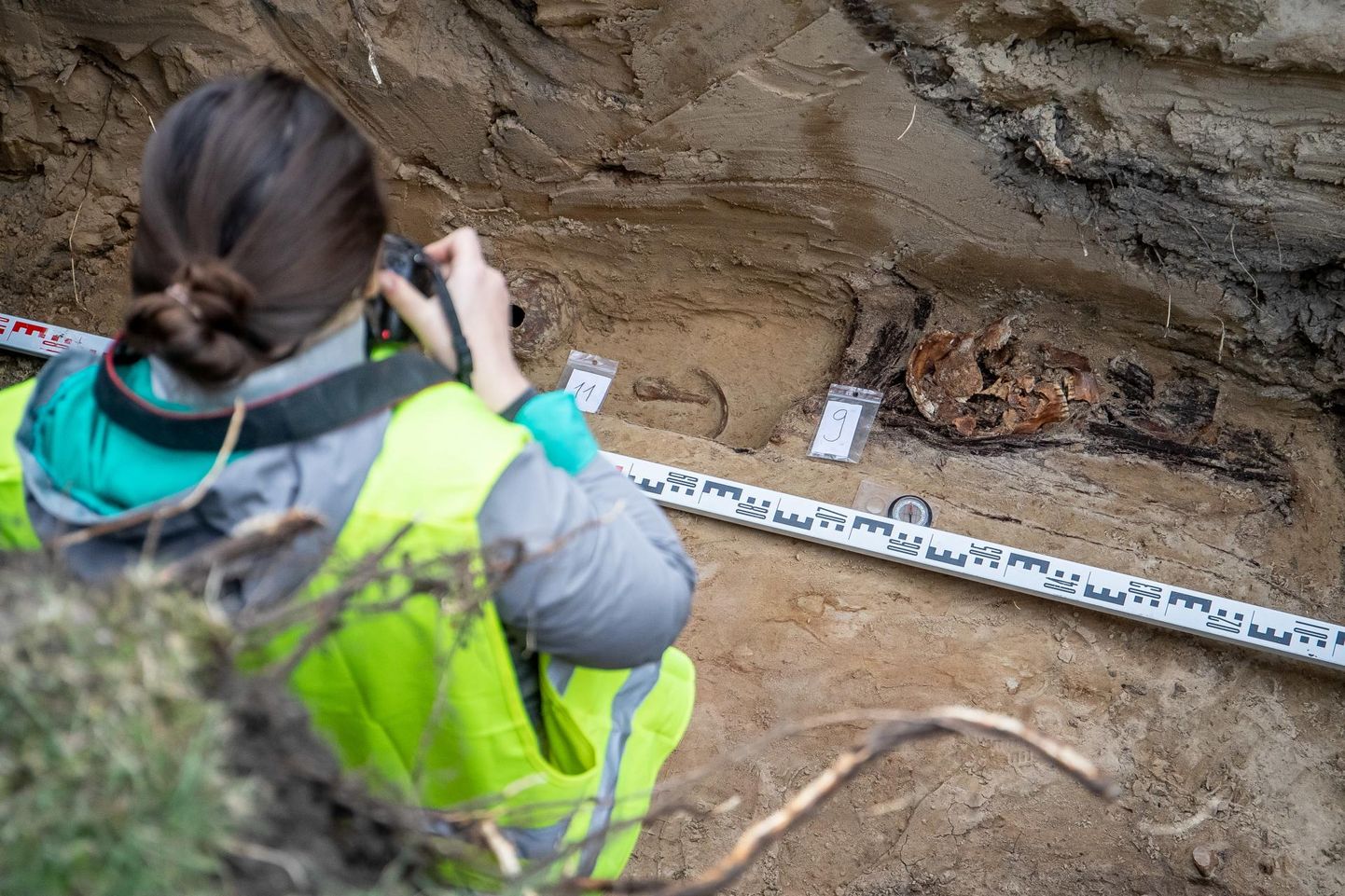 Археологи исследуют кости в узкой канаве, где позже установят теплотрассу.
