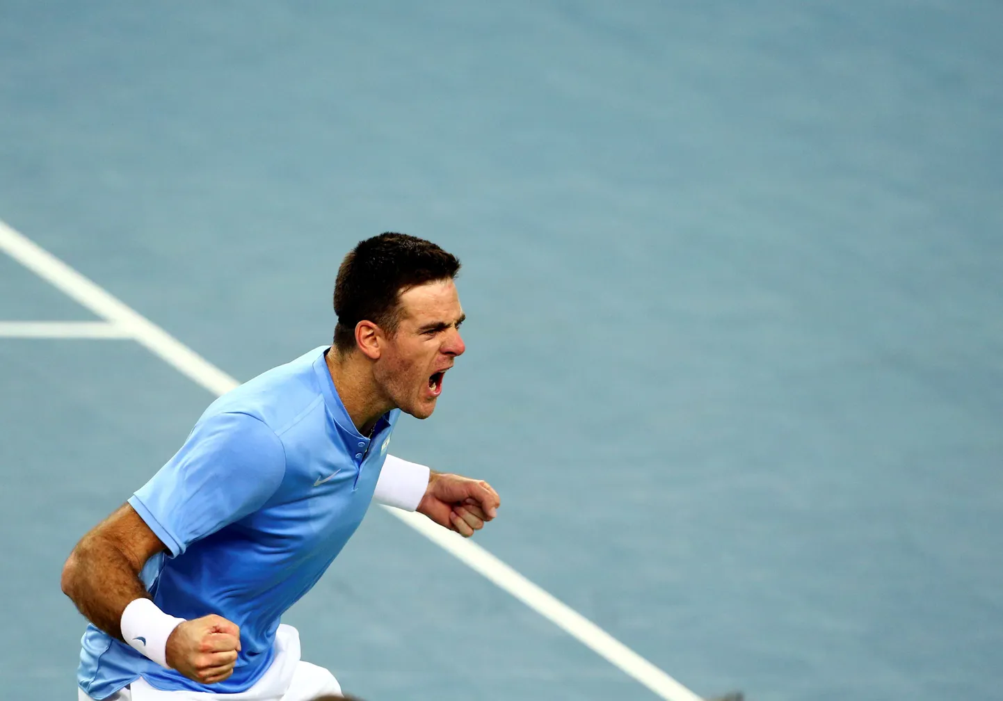 Juan Martin del Potro