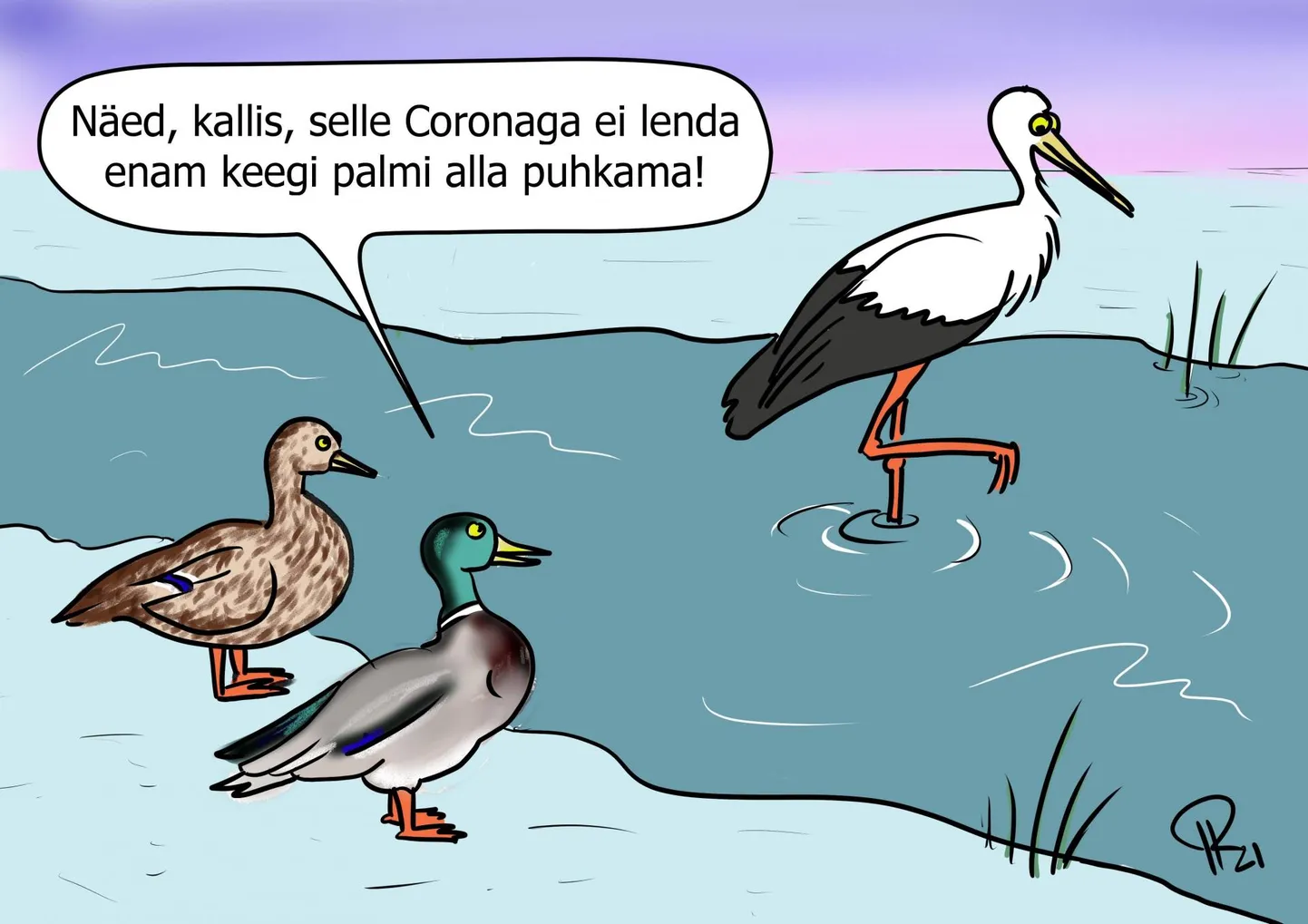 Kurg Soolikaojal, karikatuur.