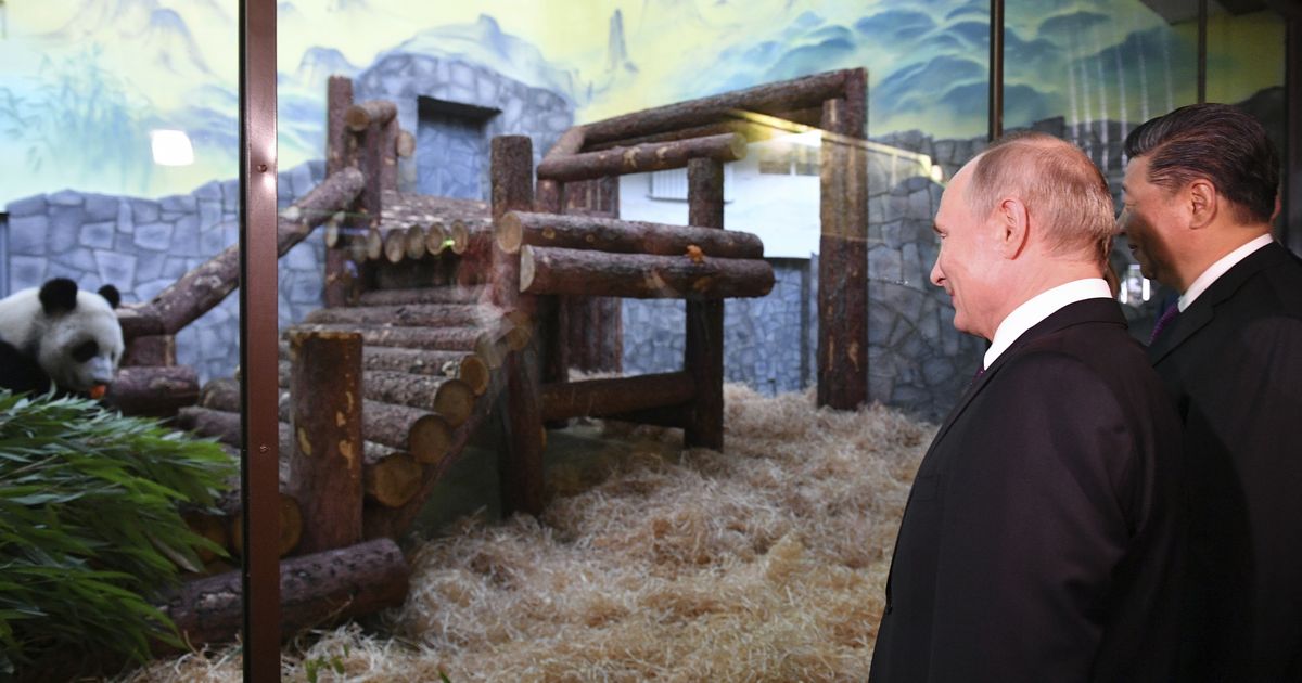 Hiina pandadiplomaatia tõi Putini näole naeratuse