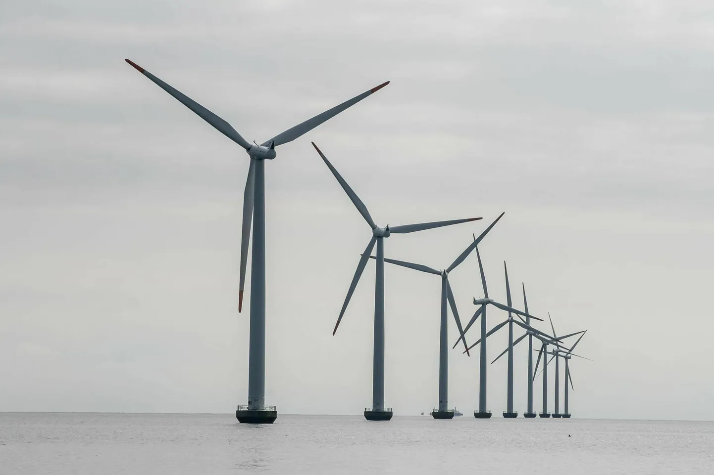 Enefit Greeni meretuuleenergia arendusjuhi Karmo Kõrveki sõnul toimus töö elektriühendusteede täpsustamise nimel kogu suve.