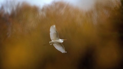 Trešdien gaiss Latvijā iesils līdz +10 grādiem