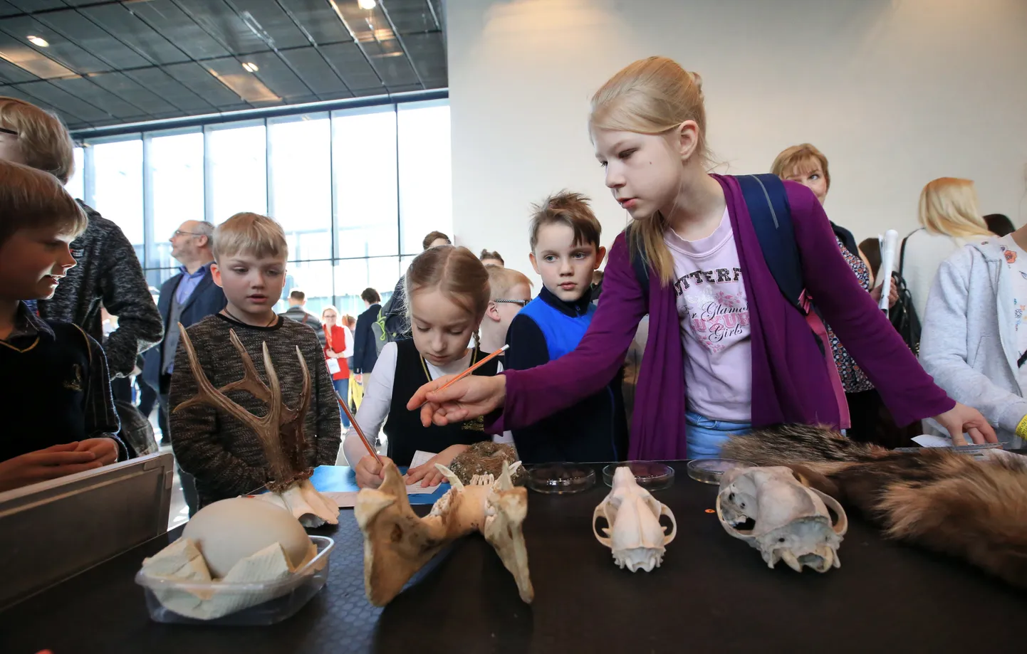 Õpilaste teadusfestival 2019. aastal