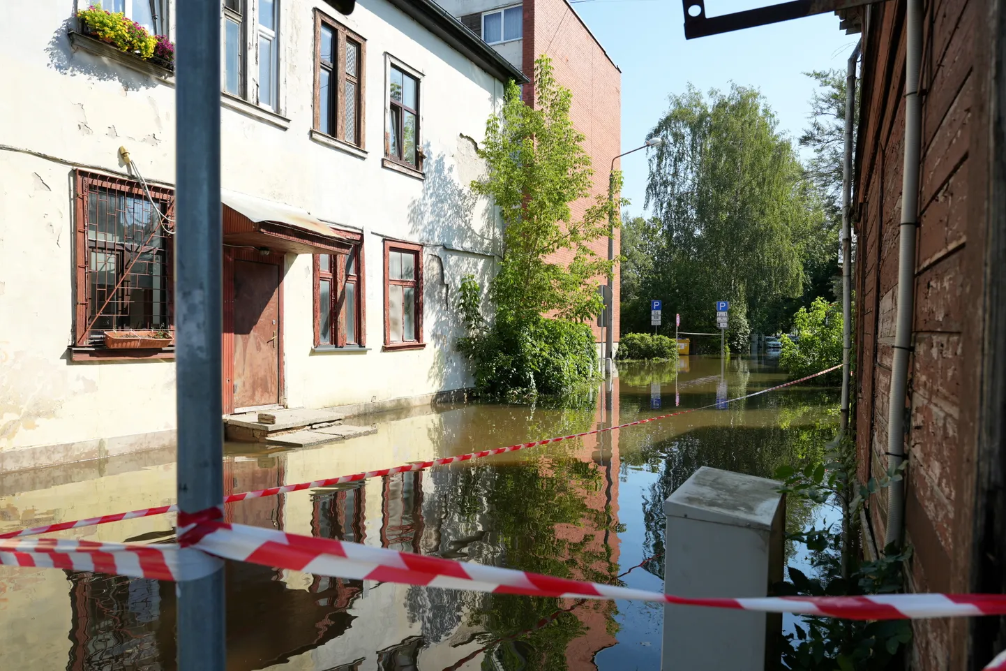 Raksta foto