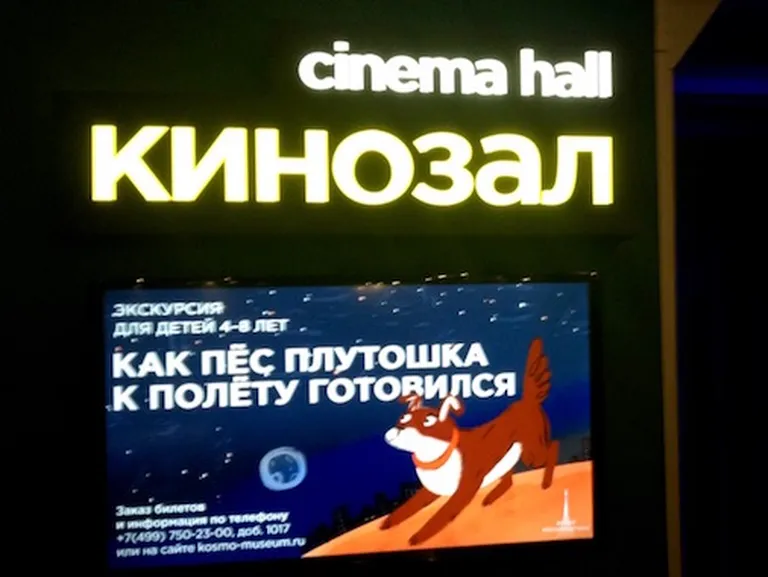 В кинозале - фильмы для малышей и подростков