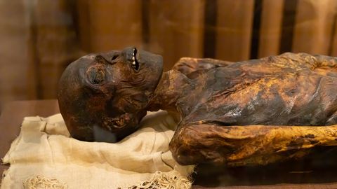 Teadlased muumialeiust: kas Homerose «Ilias» oli kohustuslik lugemine ka teispoolsuses?