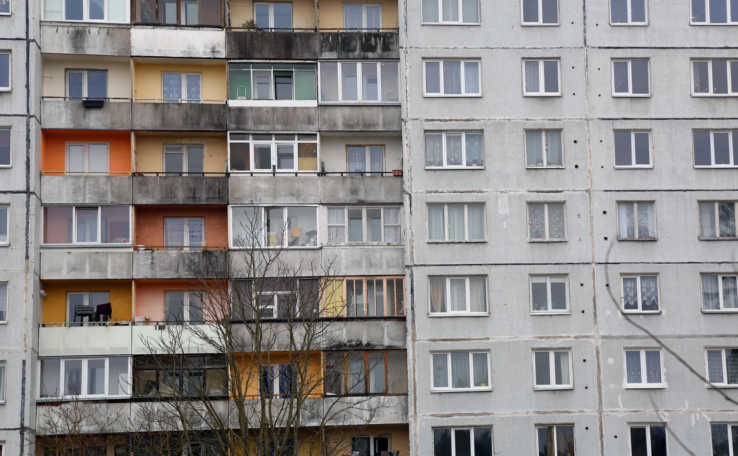 Фото статьи