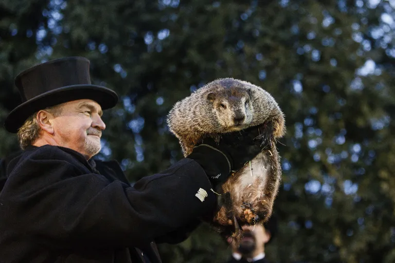 Metsümiseja Punxsutawney Phil langetas otsuse, et talv kestab veel kuus nädalat