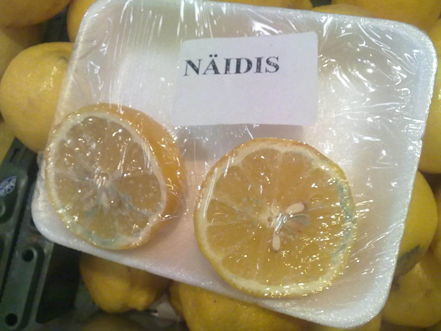 Hallitanud näidissidrun kaupluses.